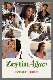 Zeytin Agaci (Mi otra yo)